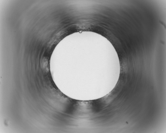 X0000103930187200810031308