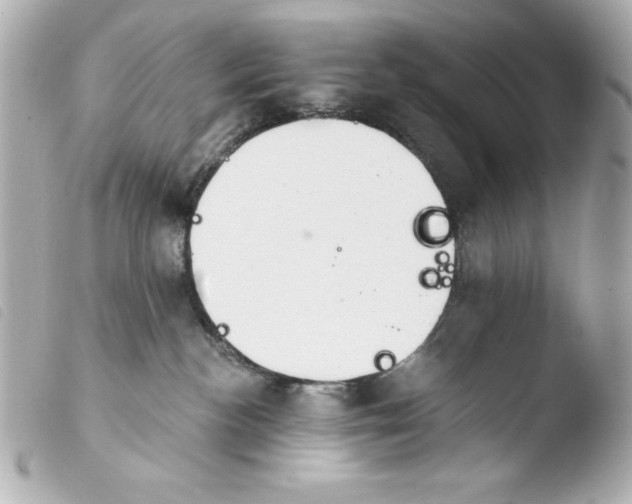 X0000103930188200810031308