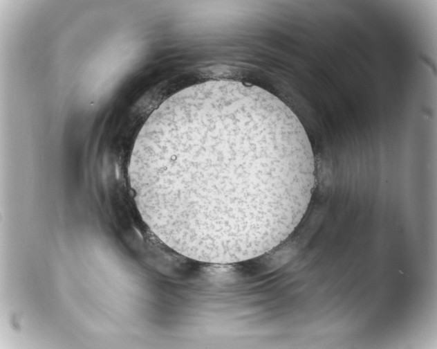 X0000103930189200810031308