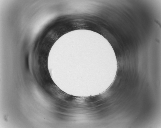 X0000103930190200810031308