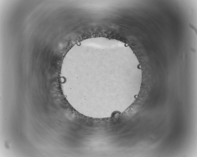 X0000103930192200810031308