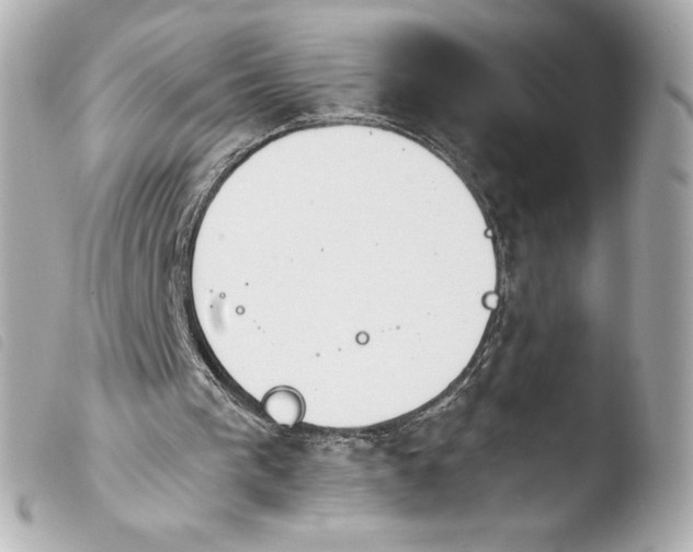 X0000103930193200810031307