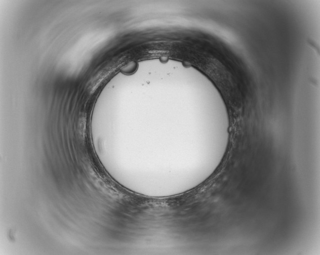 X0000103930194200810031307