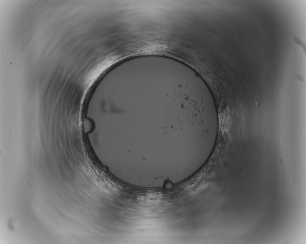 X0000103930196200810031307