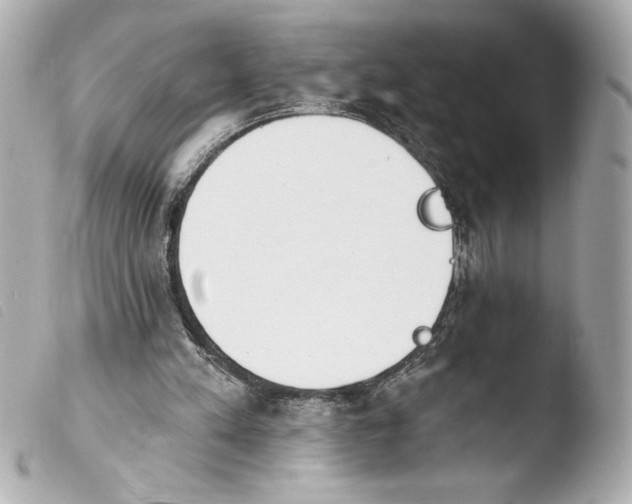 X0000103930197200810031307