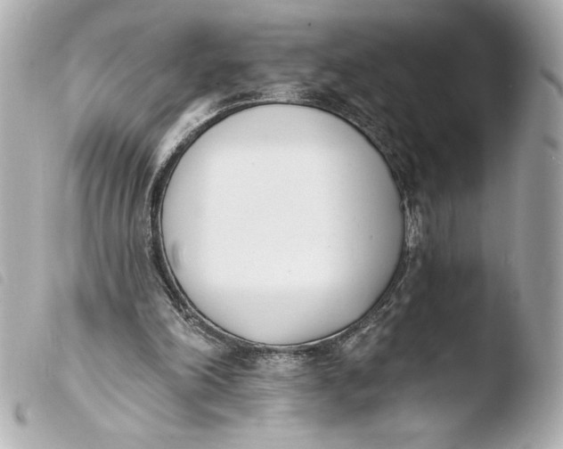 X0000103930198200810031307