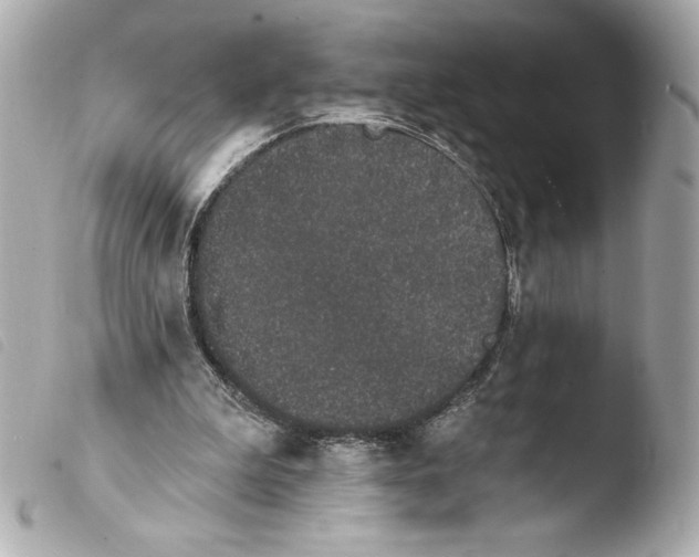 X0000103930199200810031307