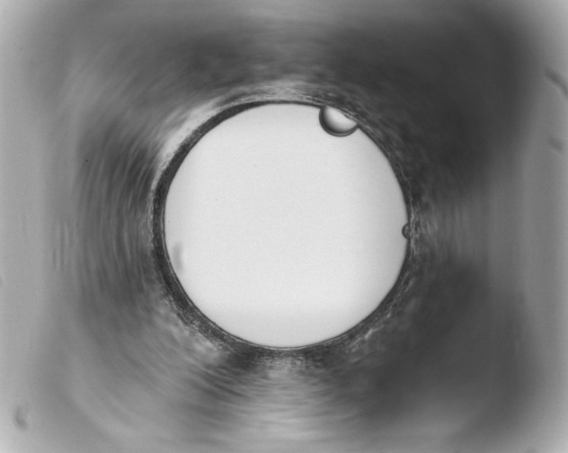 X0000103930200200810031307