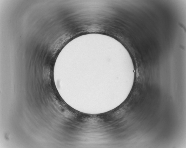 X0000103930201200810031307