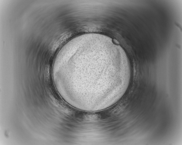 X0000103930202200810031307