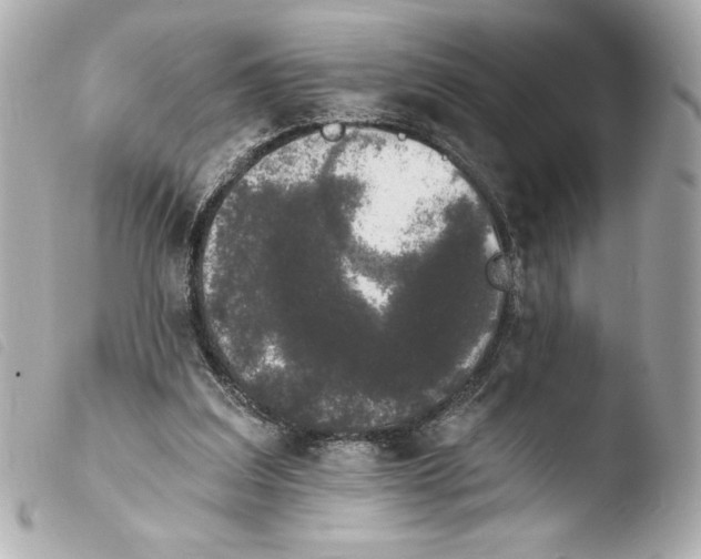 X0000103930203200810031307