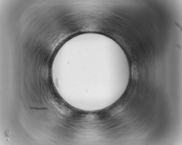 X0000103930204200810031307