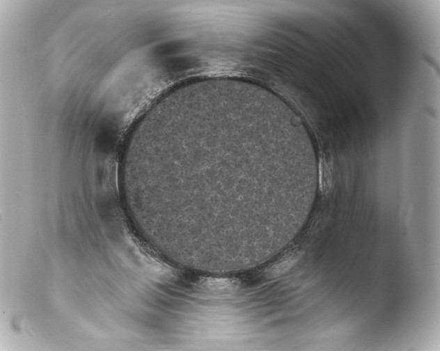 X0000103930205200810031307