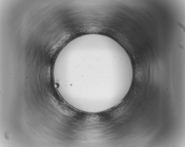 X0000103930206200810031307