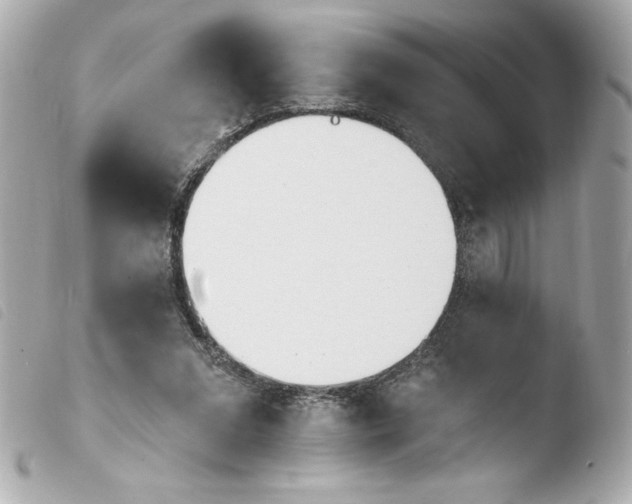 X0000103930207200810031307