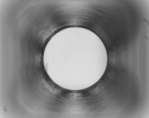 X0000103930208200810031307