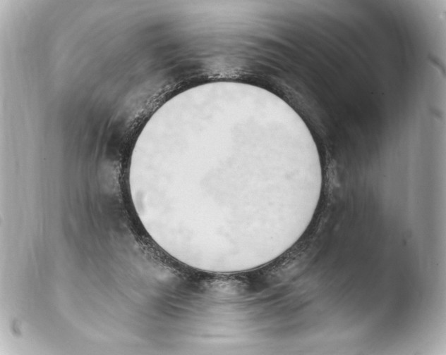 X0000103930209200810031306