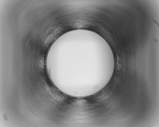 X0000103930210200810031306