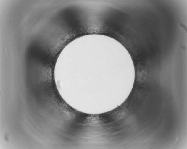 X0000103930211200810031306