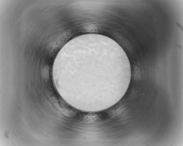 X0000103930213200810031306