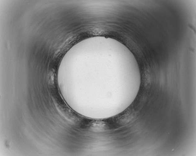 X0000103930214200810031306