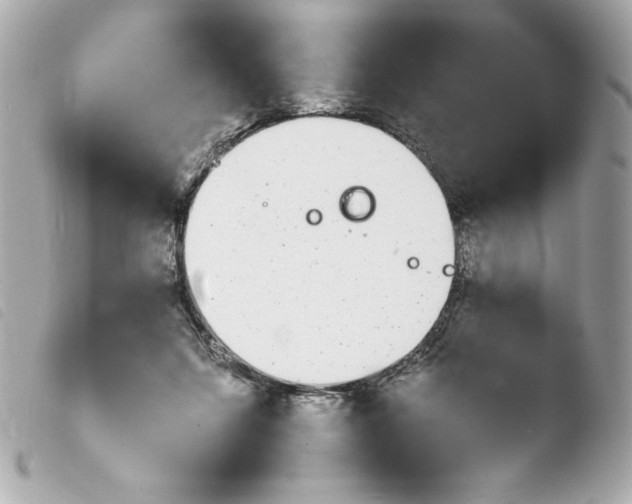 X0000103930215200810031306