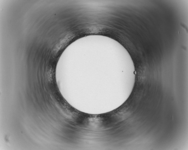 X0000103930216200810031306