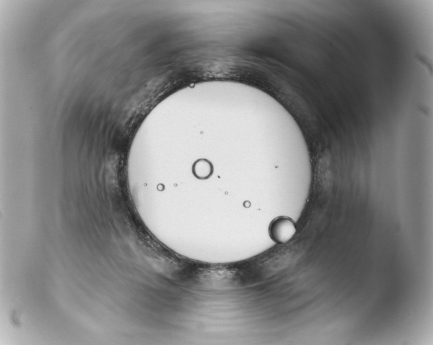 X0000103930217200810031306