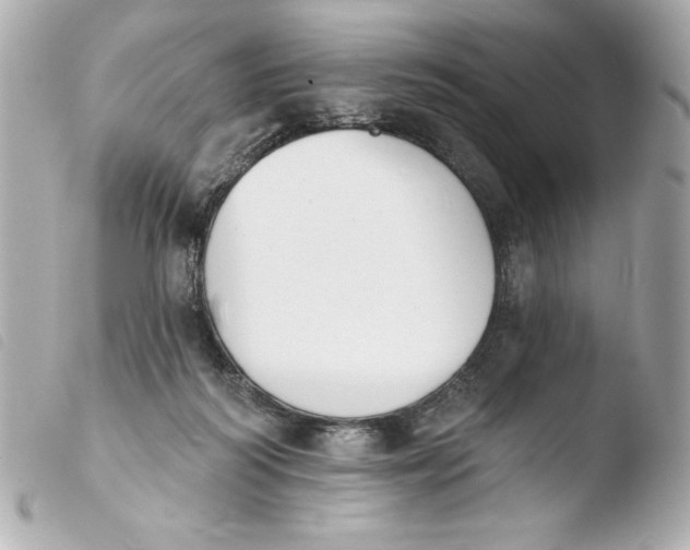 X0000103930218200810031306