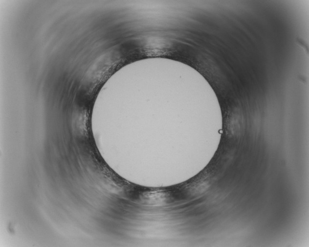 X0000103930219200810031306