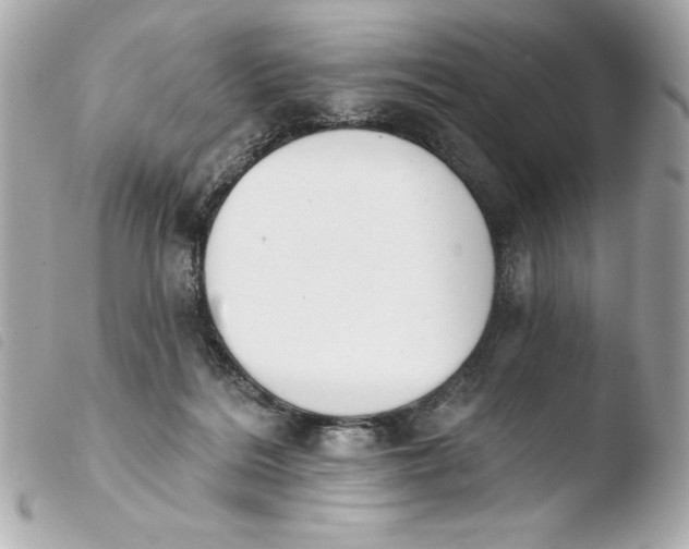 X0000103930220200810031306