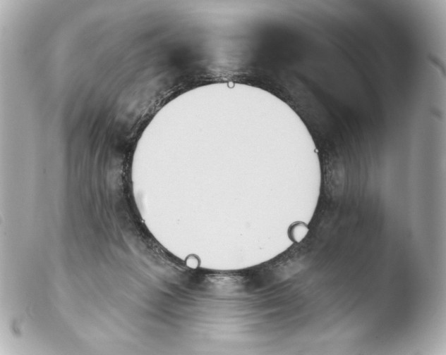 X0000103930221200810031306