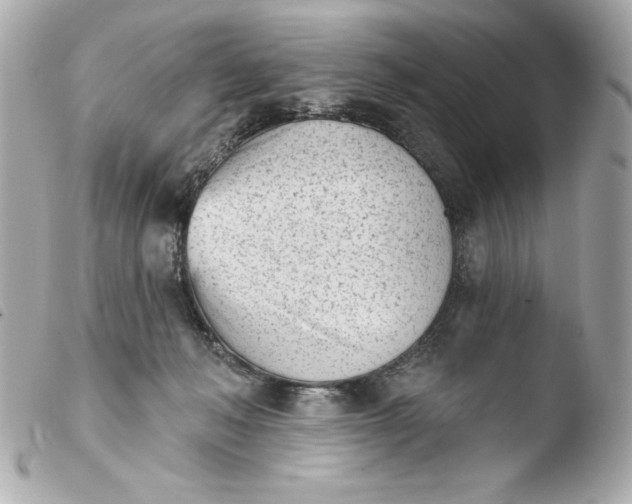 X0000103930222200810031306