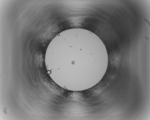 X0000103930223200810031306