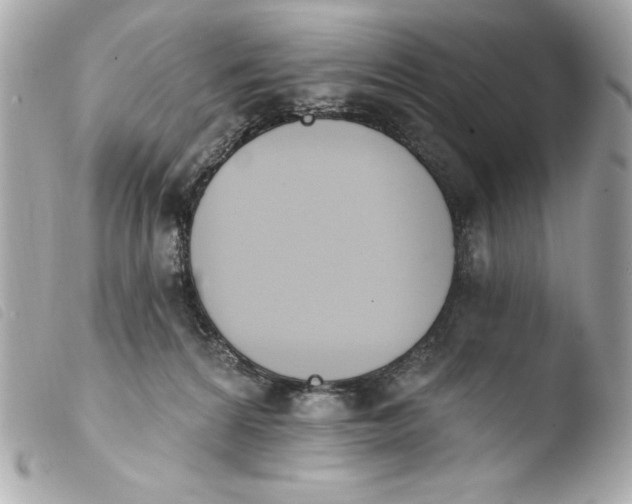 X0000103930224200810031306