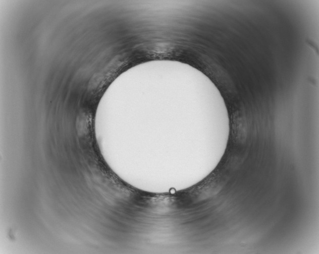 X0000103930225200810031306