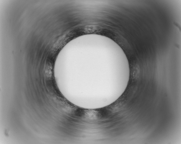 X0000103930226200810031306