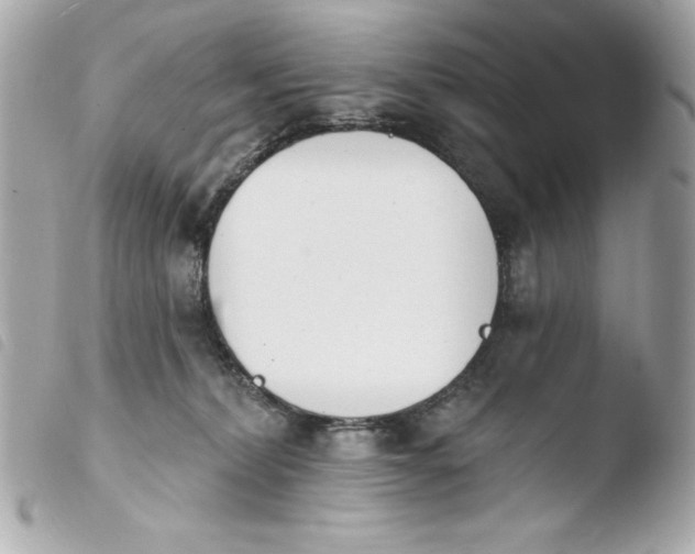 X0000103930228200810031306