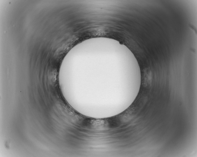 X0000103930230200810031306