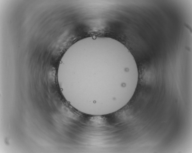 X0000103930231200810031306