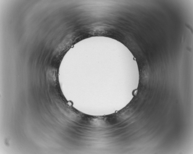 X0000103930232200810031306