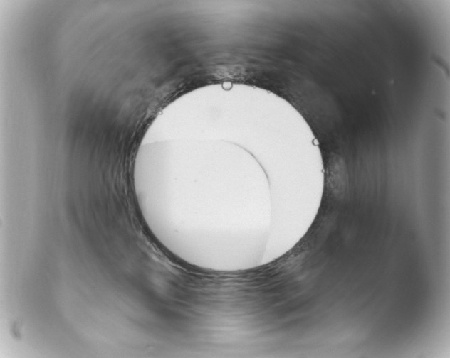 X0000103930233200810031306