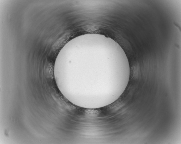 X0000103930234200810031306