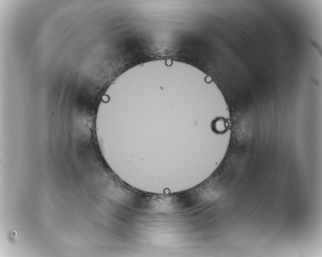 X0000103930235200810031306