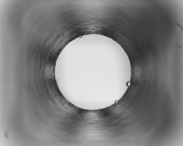 X0000103930236200810031306