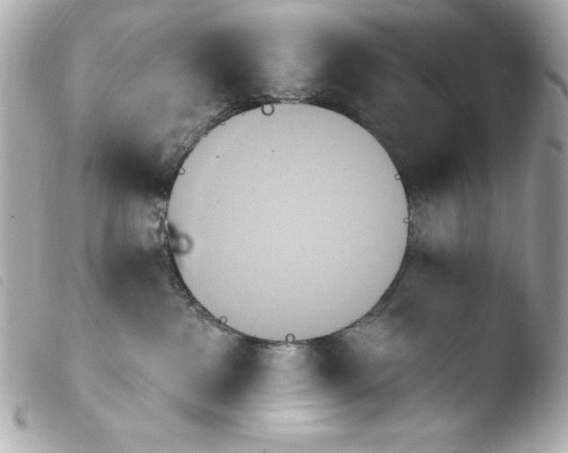 X0000103930237200810031306