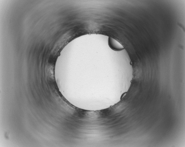 X0000103930238200810031306