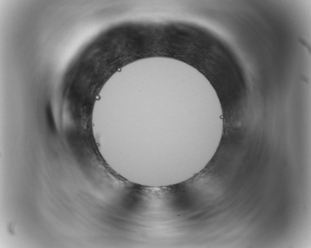 X0000103930239200810031306