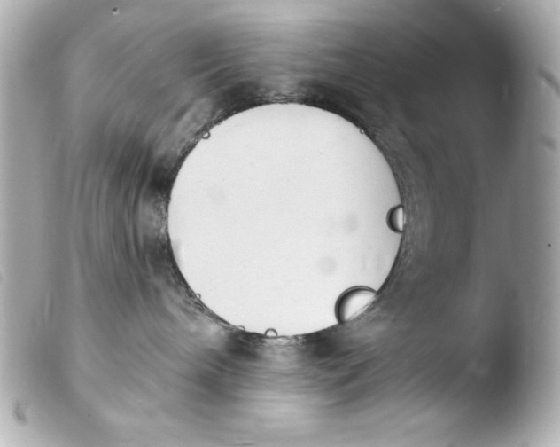 X0000103930240200810031306