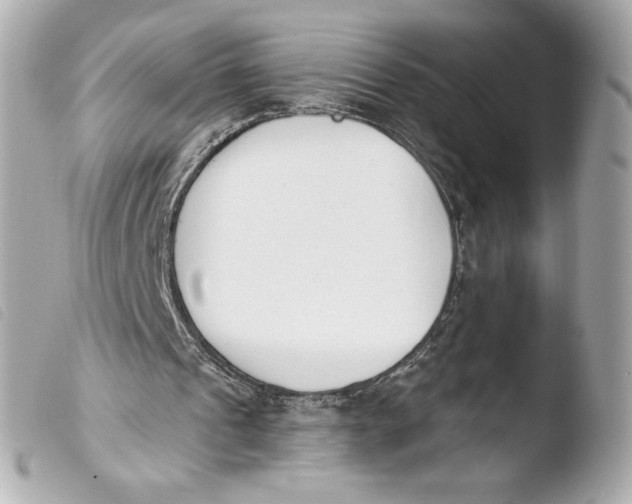 X0000103930241200810031305